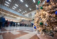 Τα δρομολόγια των ΜΜΜ της Αθήνας τις μέρες των Χριστουγέννων